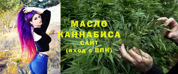 прущий лед Инсар