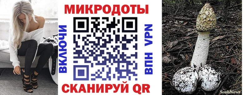 Псилоцибиновые грибы GOLDEN TEACHER  нарко площадка официальный сайт  Мещовск 